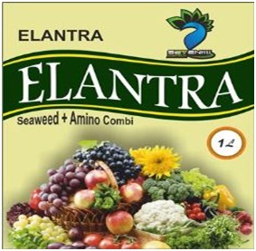 Elantra -Organic Seaweed 1L